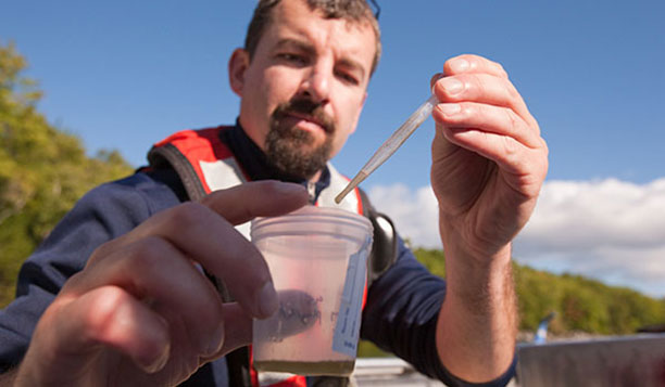 Person taking a water sample