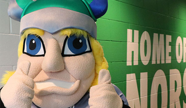Bay College Norse mascot